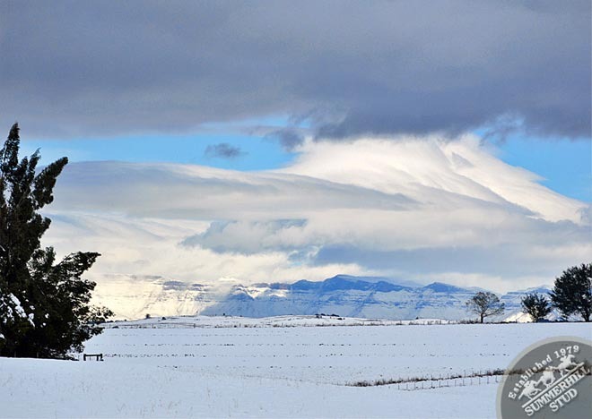 snow-august-2012-3.jpg