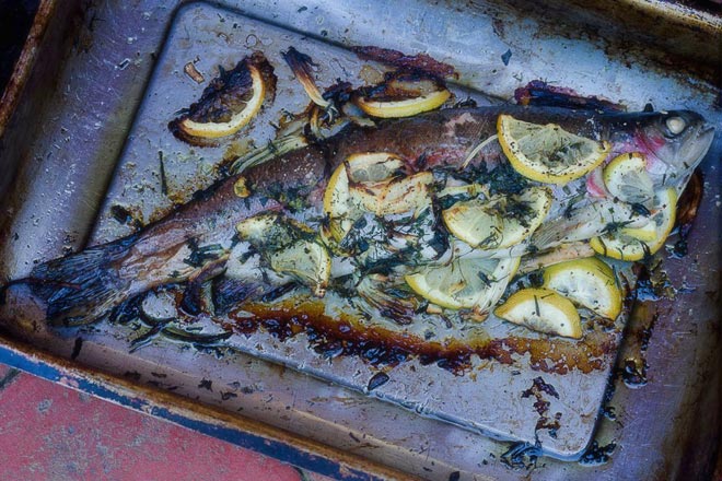 Roasted Whole Trout