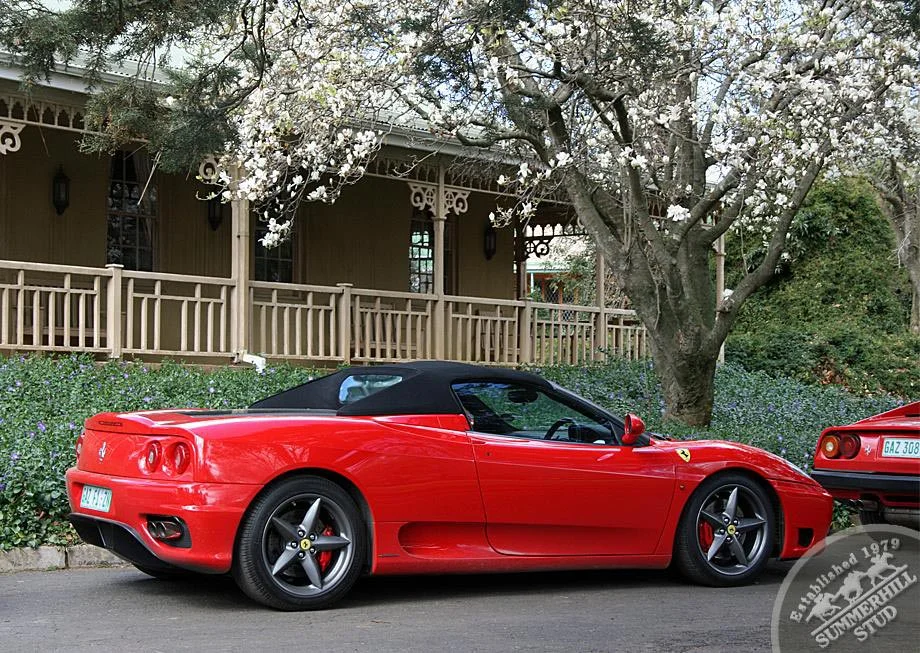 Ferrari Club 13