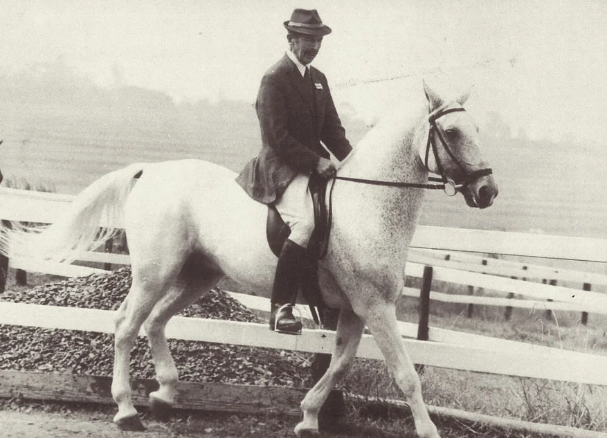 Major George Iwanowski riding one of his Lipizzaners to the Royal Show / Royal Agricultural Society (p)