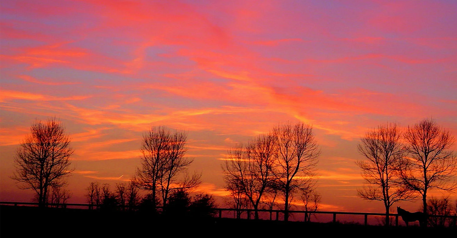Sunset / Annet Becker (p)