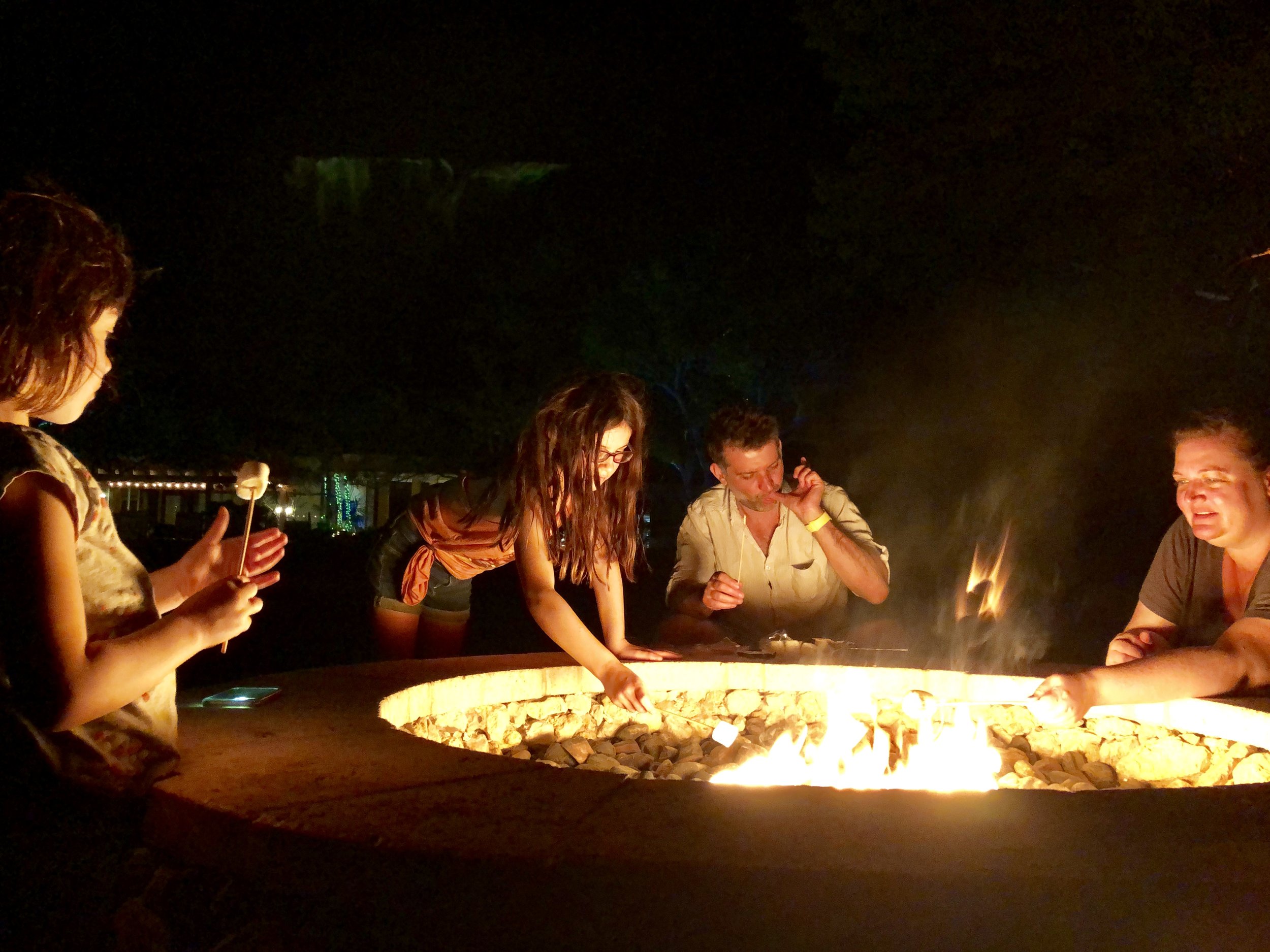 Marshmallows by the fire