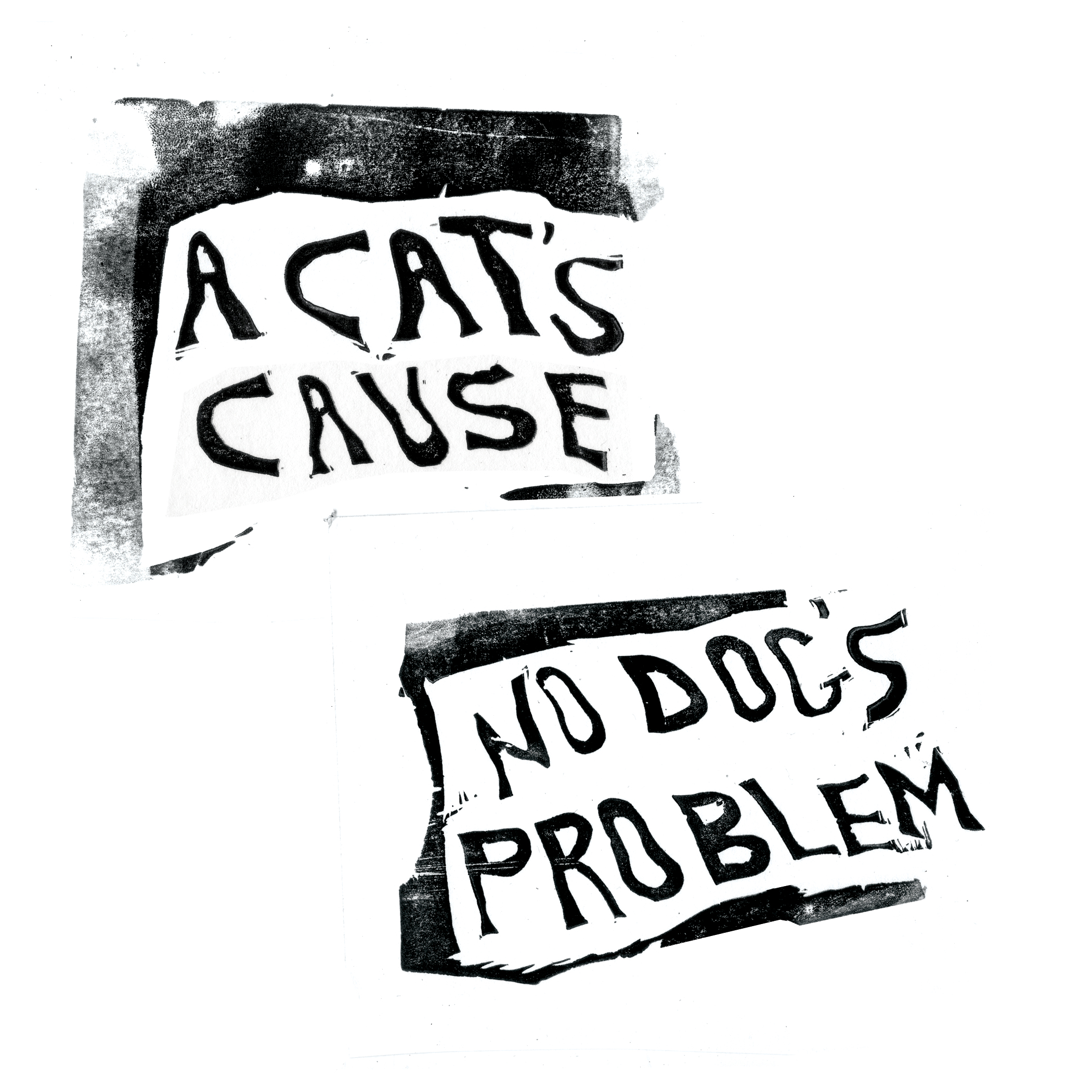 Ivy- "A Cat's Cause No Dog's Problem"