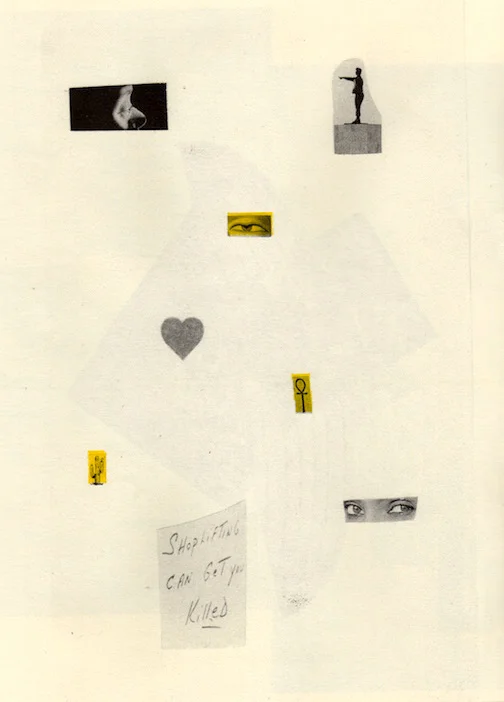 shopliftingzineedit.jpg