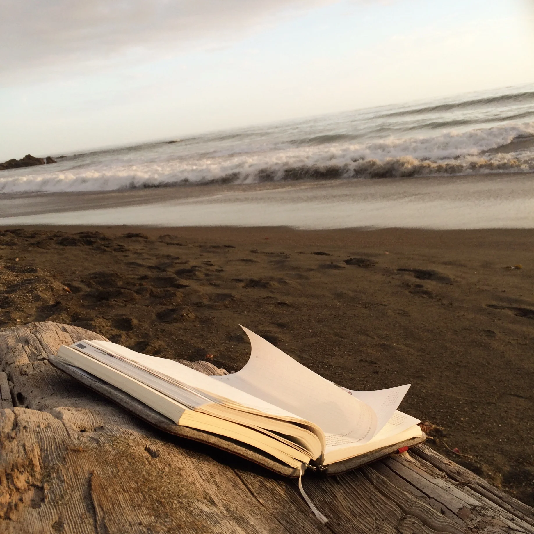 Personal Coaching Session