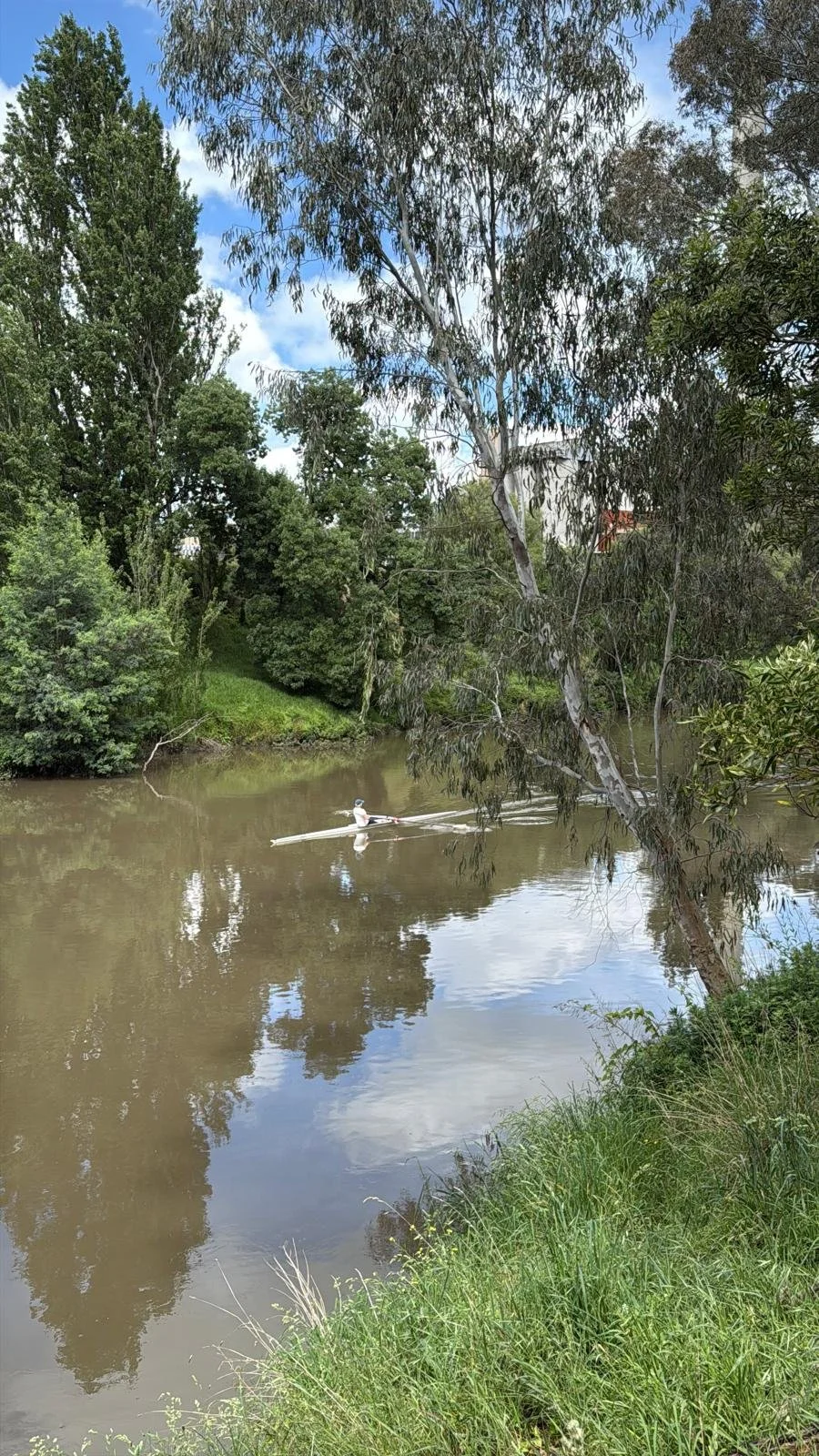 Virginia as seen on Julie's walk..jpg