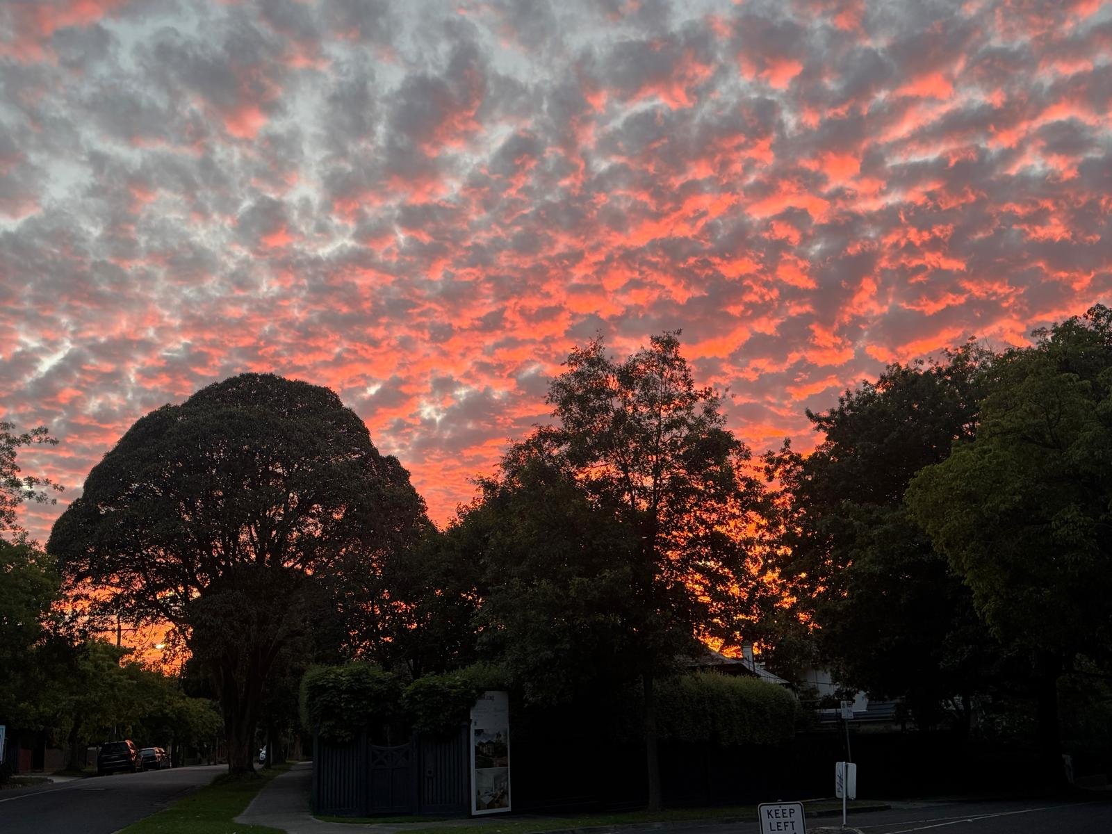 Dawn at Hawthorn HOTY.jpg