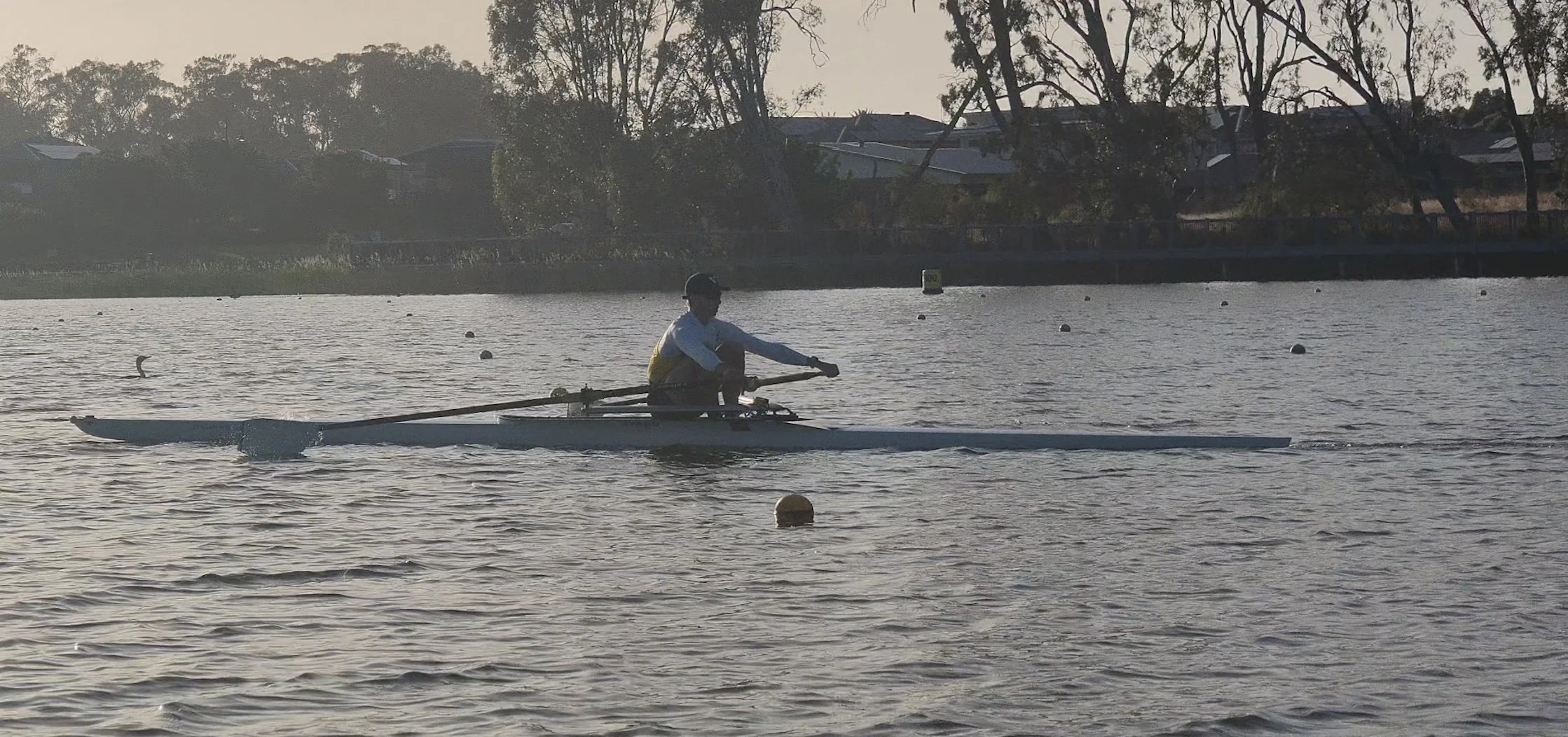 Sculler 1.jpg