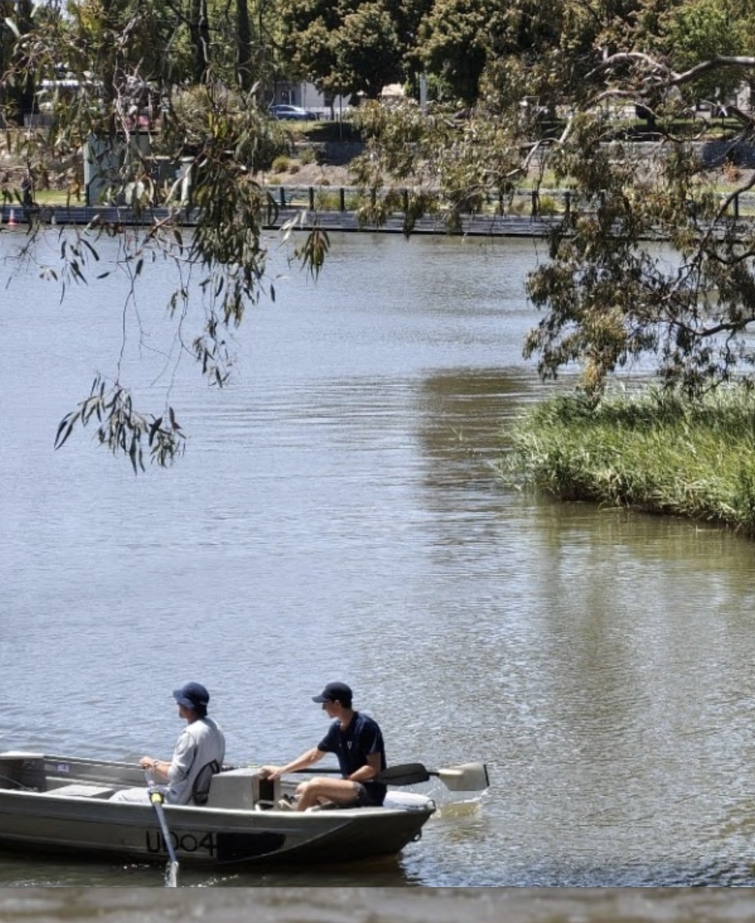 Finding scullers.jpg