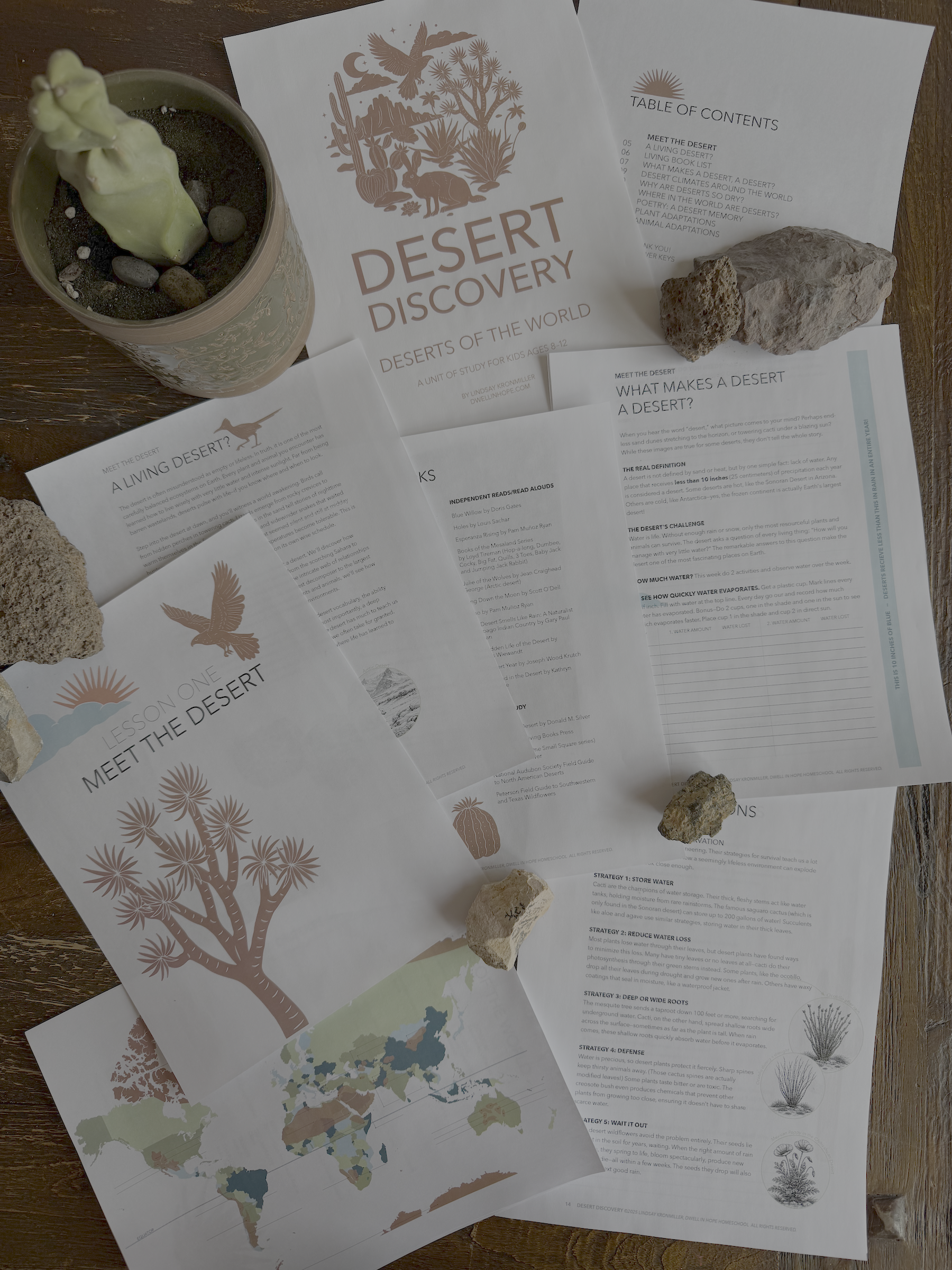 Dwell inHope HOmeschool Desert DIscovery_flat lay.png
