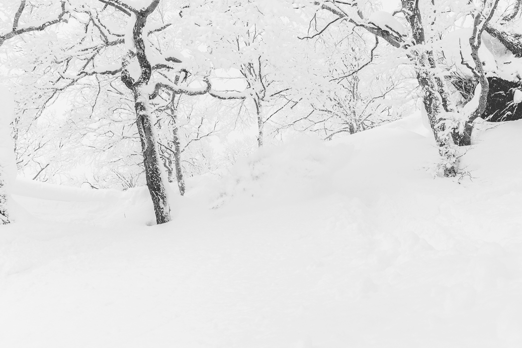 MarcoSMolla_Whiteroom_Slash_Powder_Snowboard_SilvanoZeiter-Japan.gif