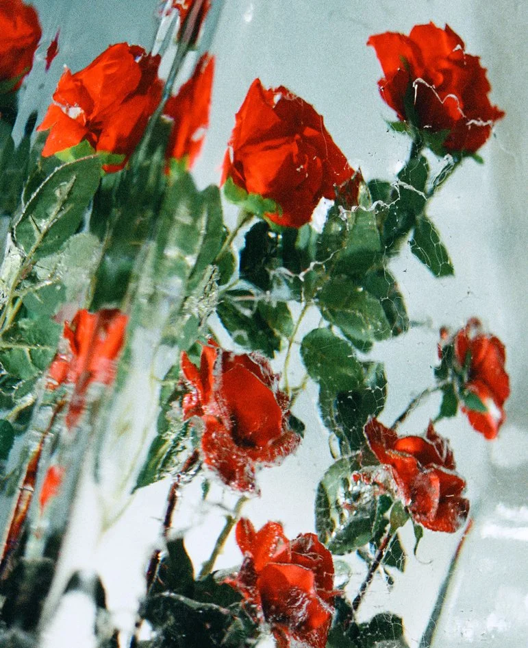 EIHAN_000011650007.jpg