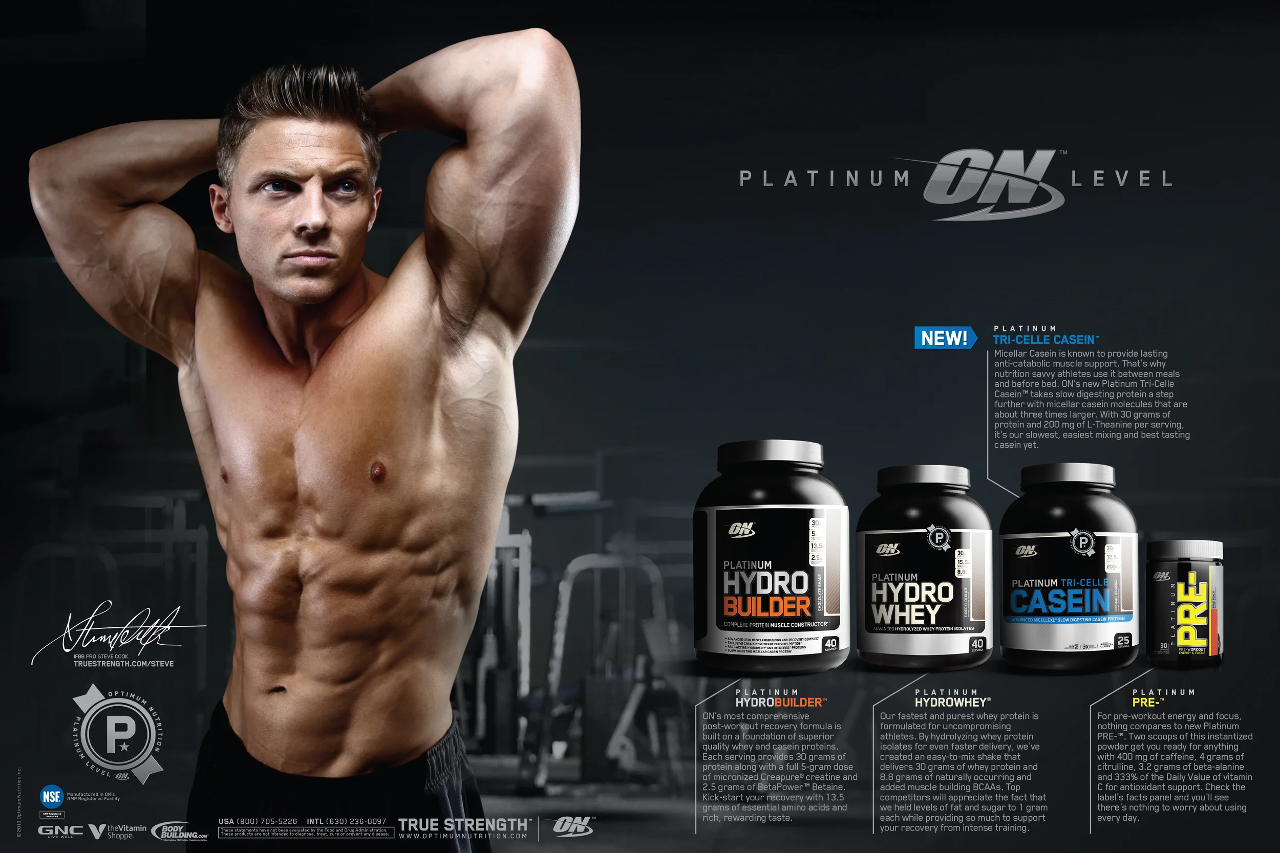 Platinum Spread v2-01.jpg