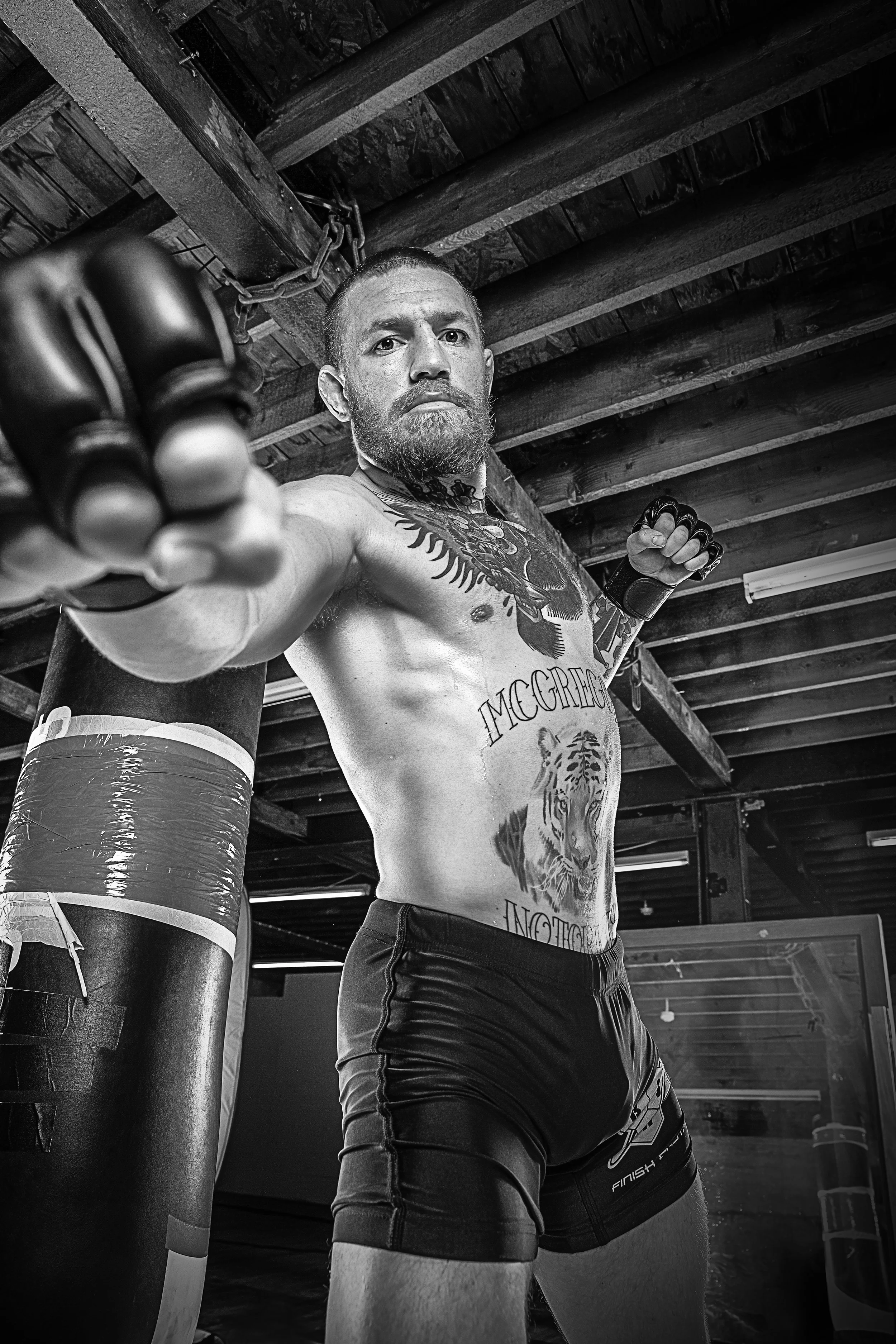 Conor_Punch.jpg