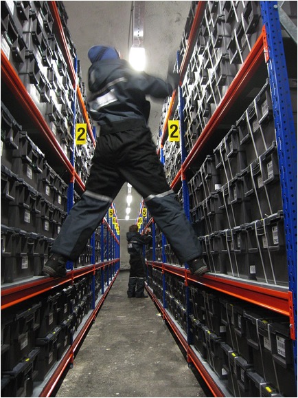 A worker straddles two rows of seeds in the vault near the North Pole