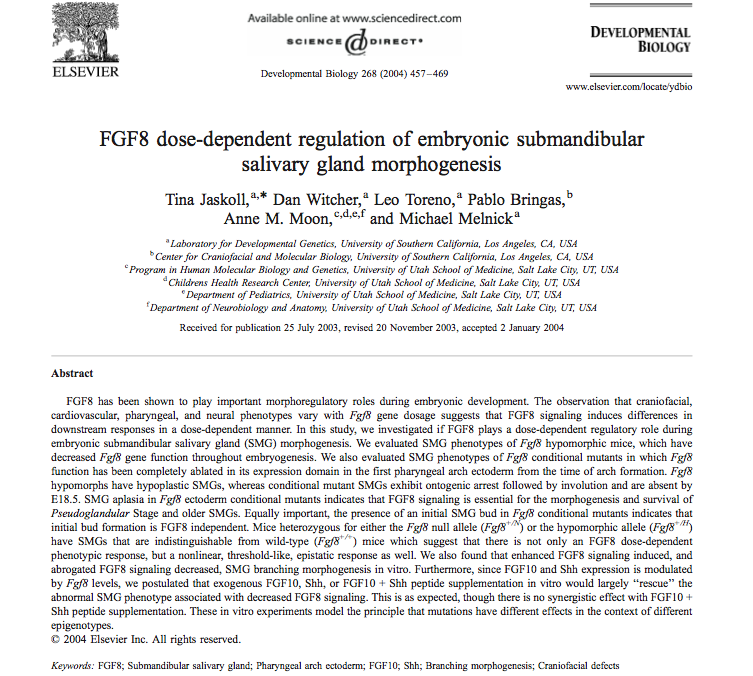 FGF8 dose-dependent regulation of embryonic submandibular salivary gland morphogenesis