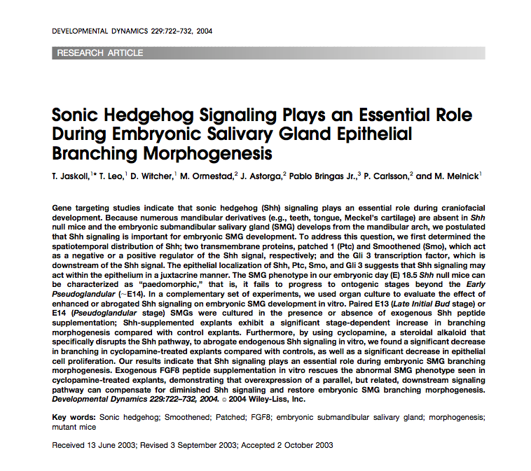 Sonic Hedgehog Signaling Plays an Essential Role During Embryonic Salivary Gland Epithelial Branching Morphogenesis