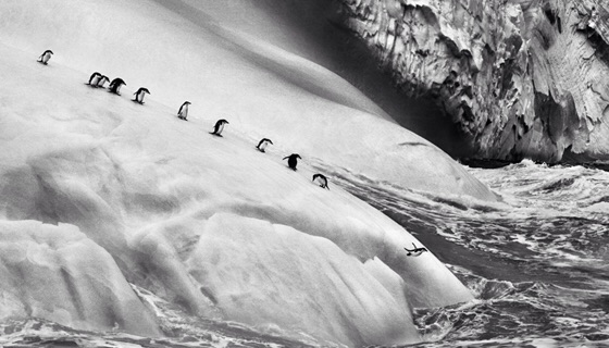 Sebastiao Salgado