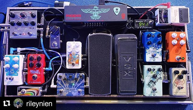 I love the variety represented on this one!
・・・
#Repost @rileynien
・・・
Just a little pedalboard update... Finally rocking the @walrusaudioeffects Phoenix and running stereo outs as well with the @sourceaudio Ventris!