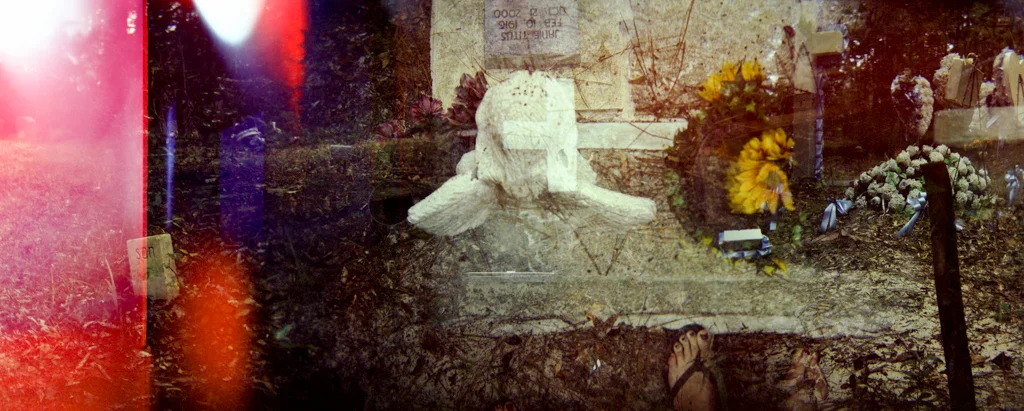 Confronting Mortality