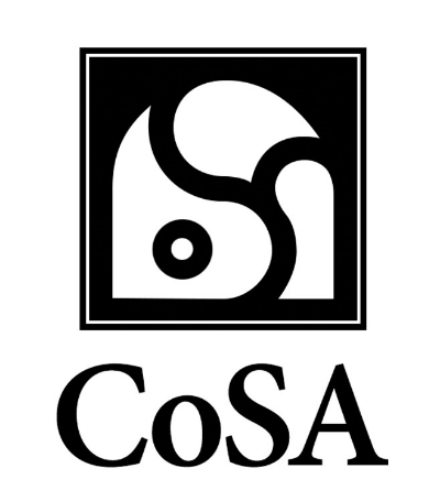 Cosa : what became After Effects
