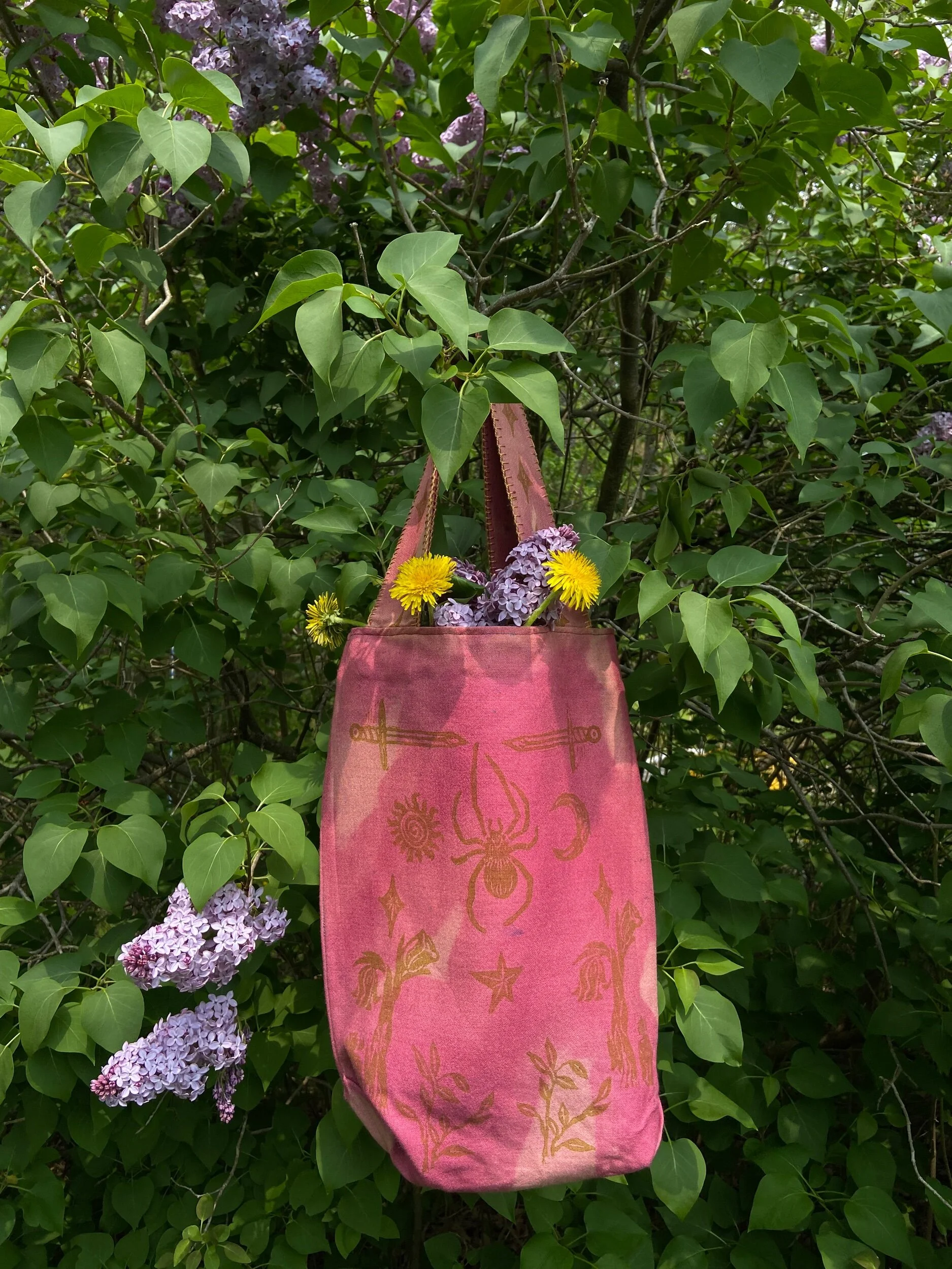 AE4BB2D0-8489-4AFB-A332-2321B656973D