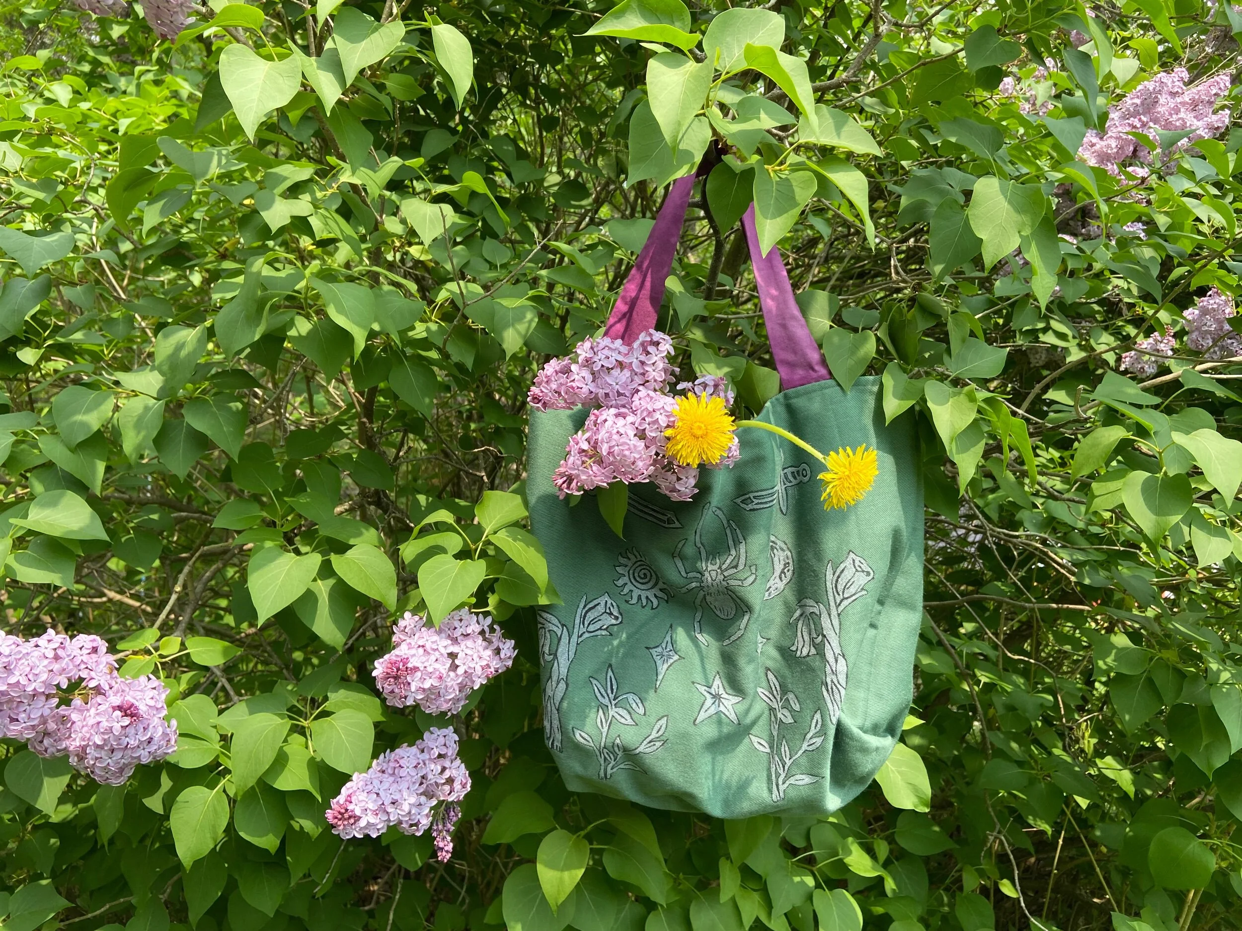 477953D7-74D2-423B-9340-A785F71F5CCF