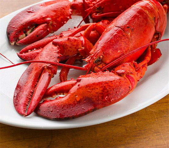 lobster.jpg