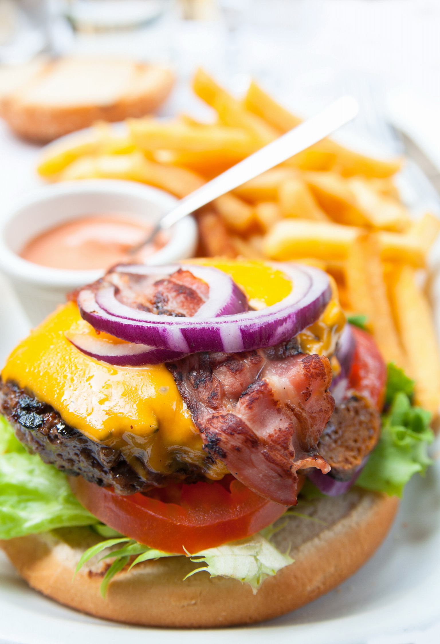 Cheeseburger and fries.jpg