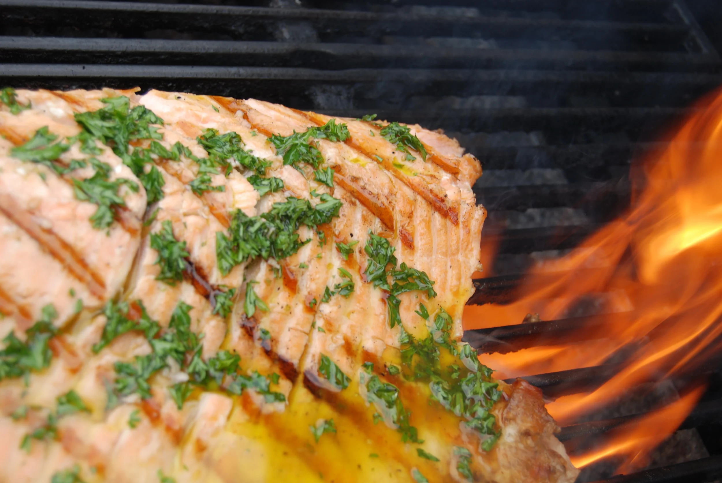 Grilled Salmon.jpg