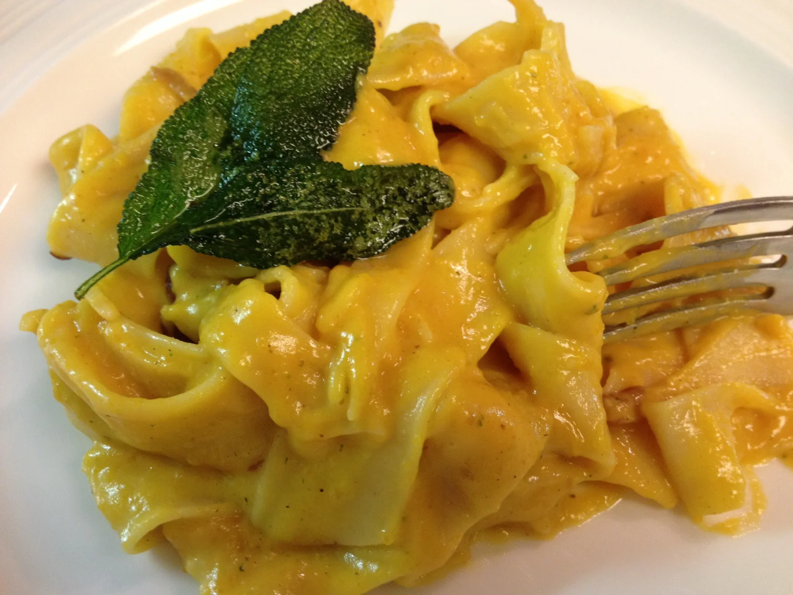 Squash and Pork 5.jpg