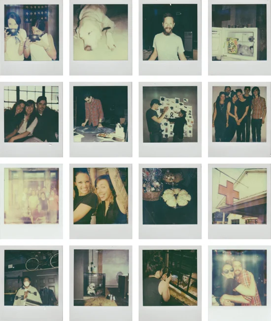 elise_polaroids.jpg