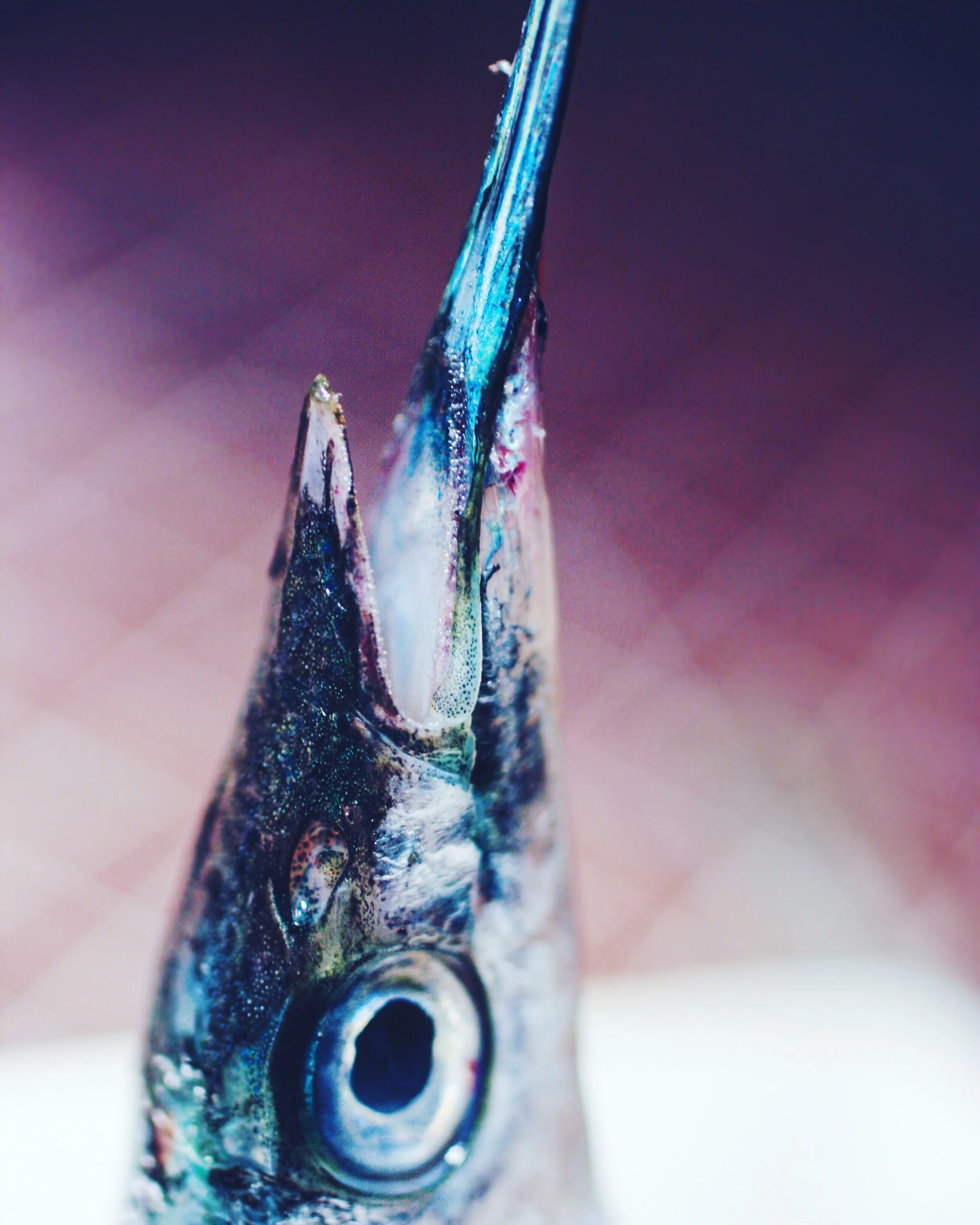 Nebulous