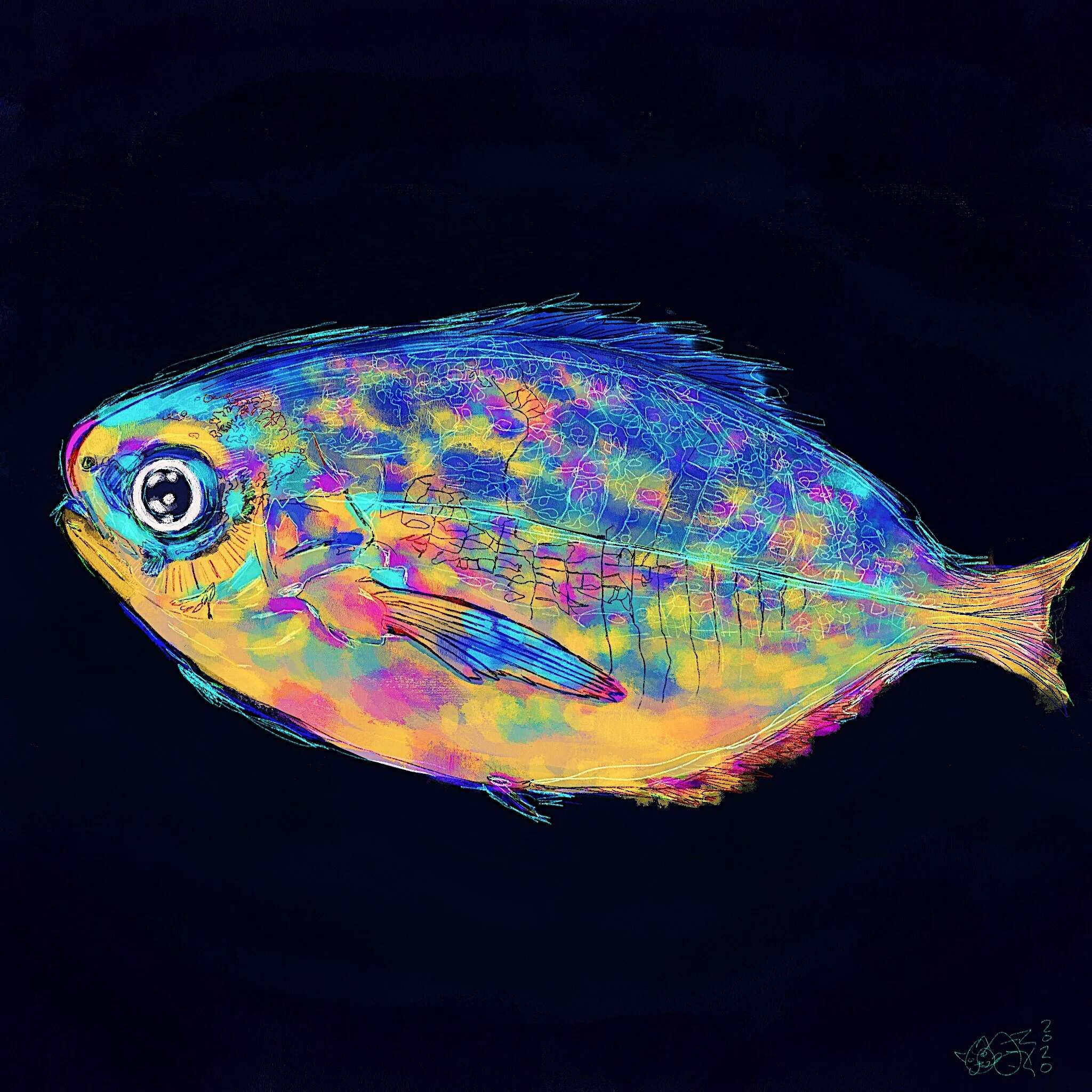 Rainbow Butterfish
