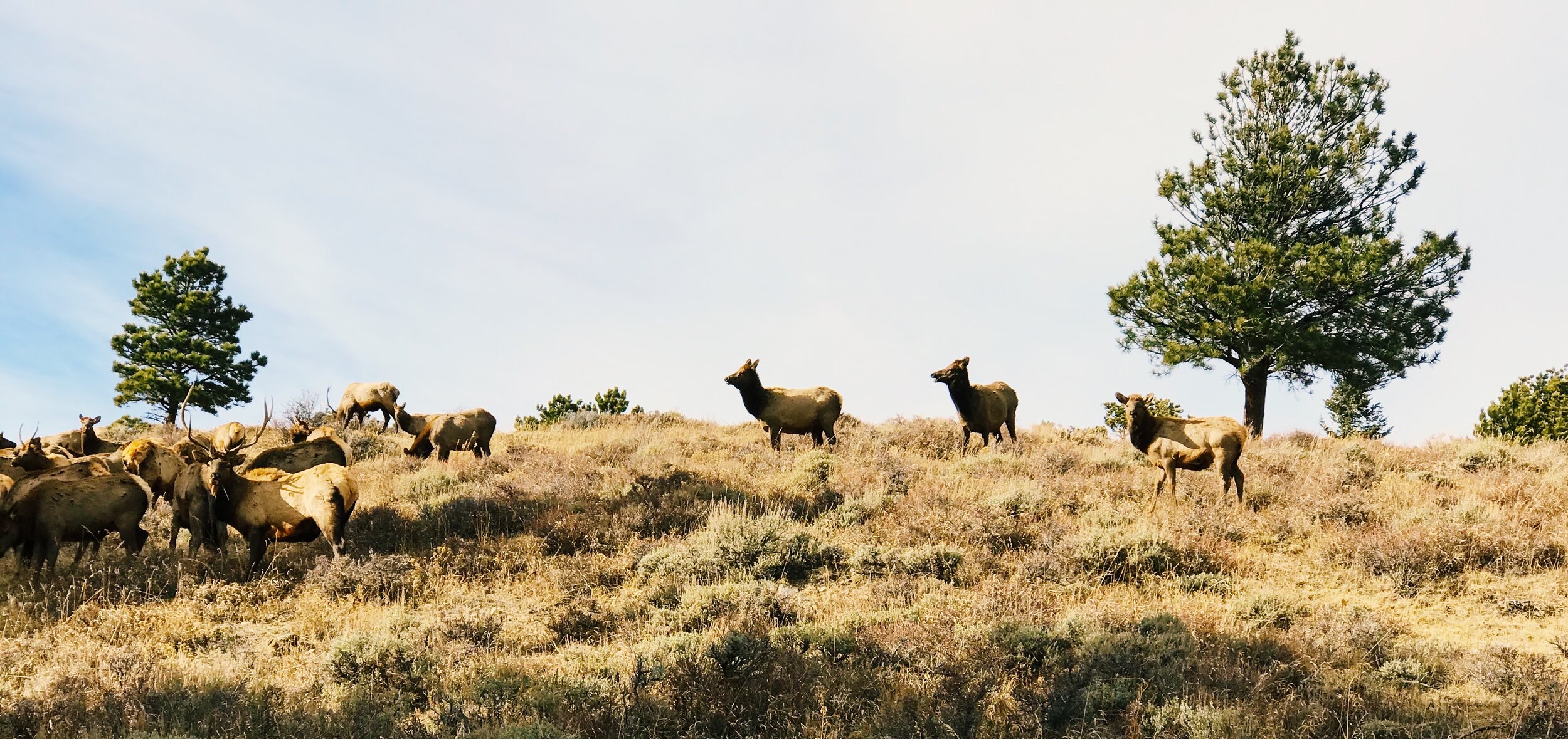  Estes Park, Colorado | Canon 5DM3 
