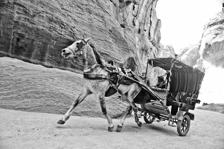  Petra, Jordan | assignment: Fat Forward | Canon 5DM3 