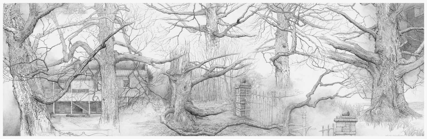 The Maples of Glen Leven, 2013, graphite on board, 20x60 inches, inventory of the artist