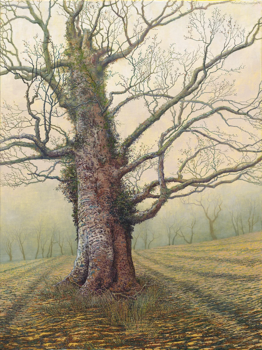 Beech Tree in North Pasture, 2014, oil on canvas, 40x30 inches, collection of Dave Goerss, Columbia, TN