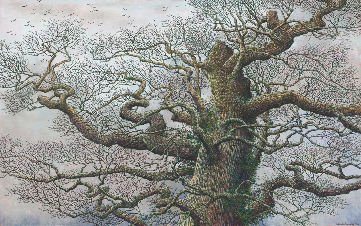 Upper Section of Giant Bur Oak in Open Field, 2016, oil on canvas, 30x48 inches, collection of Doris and Dan Hixon, Donelson, TN