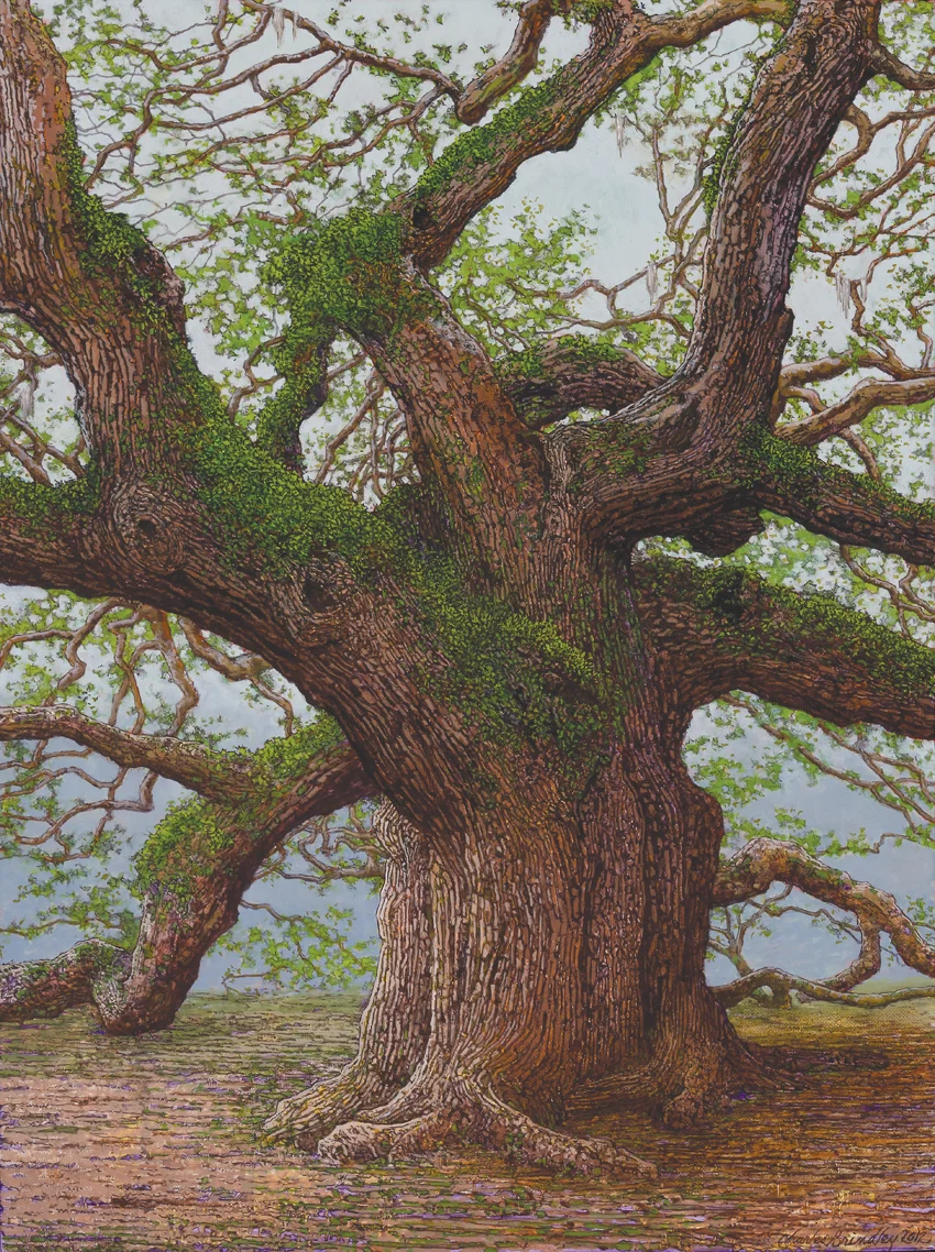 The Angel Oak, 2012, oil on linen, 24x18 inches, collection of David Goerss, Columbia, TN