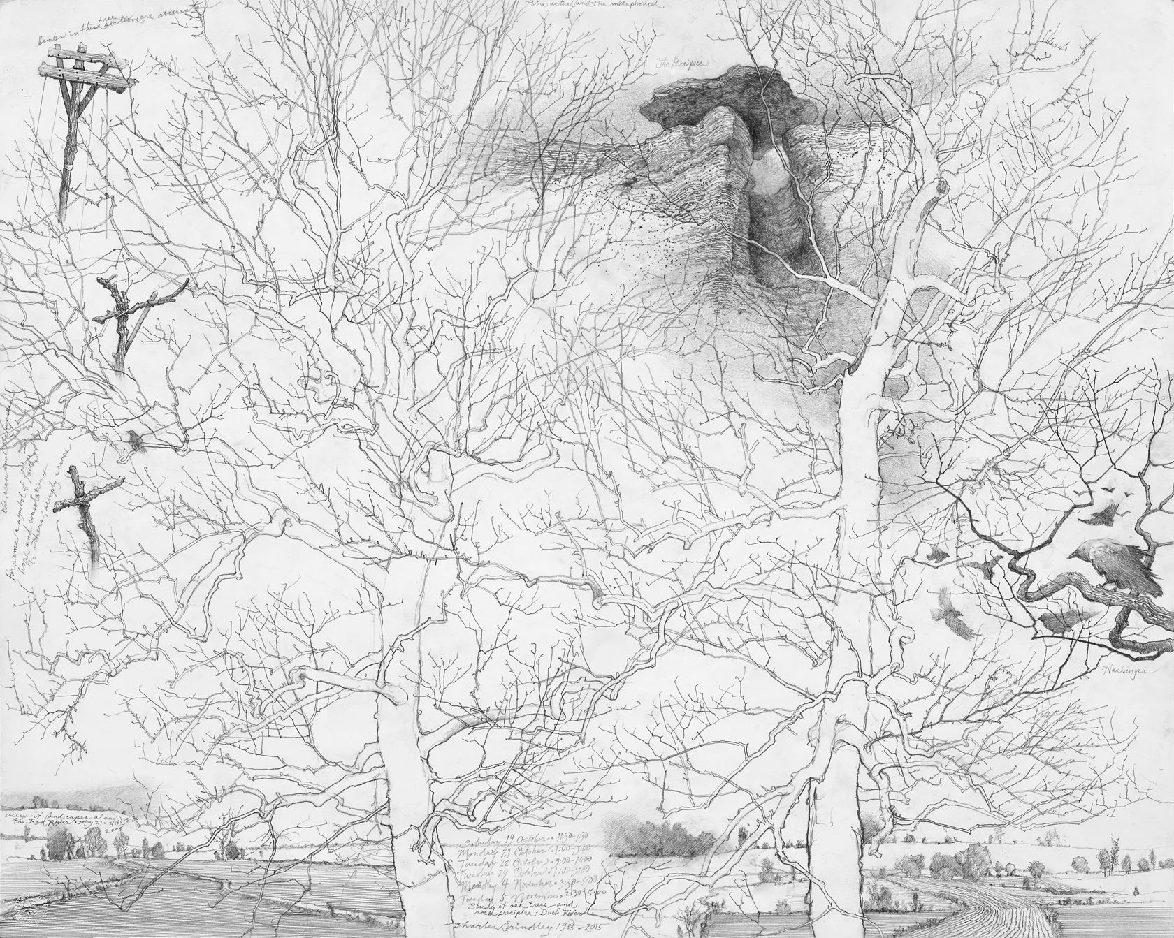 Fragments of The Seen and of The Unseen, 1985-2015, graphite on paper, 23x29 inches, inventory of the artist