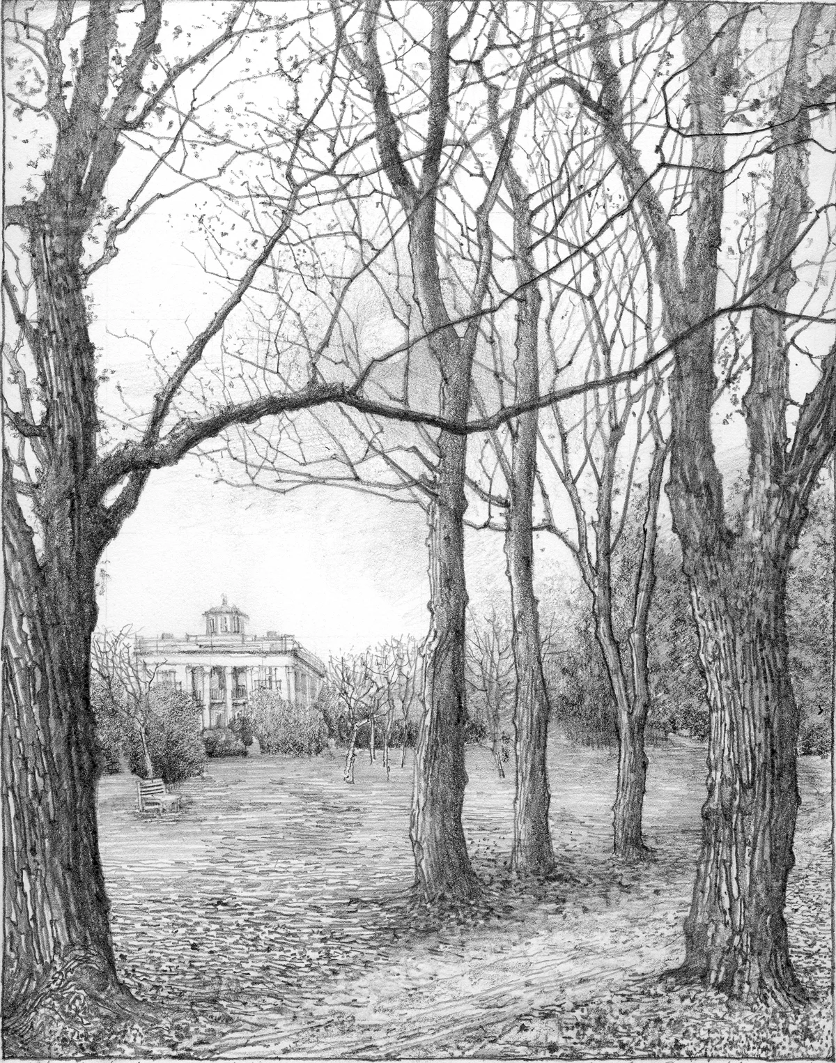 Maple Lane in Winter Time, 2014, graphite on paper, 10x8 inches, collection of Ashley McAnulty, Nashville, TN. Based on a circa 1908 photograph from Belmont Mansion Archives.