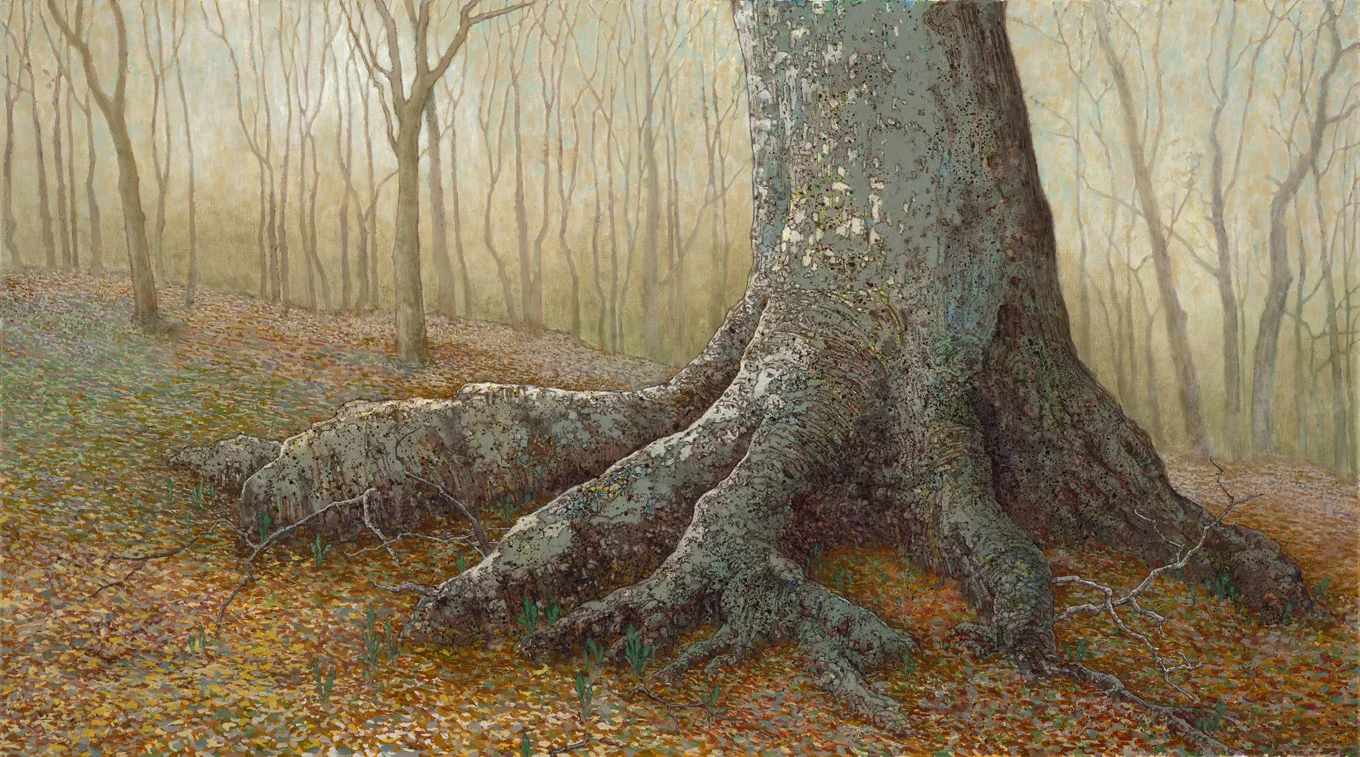 Ancient Beech Tree, Hill Forest, 2006, oil on canvas, 20x36 inches, collection of Madge and Warner Bass, Nashville, TN