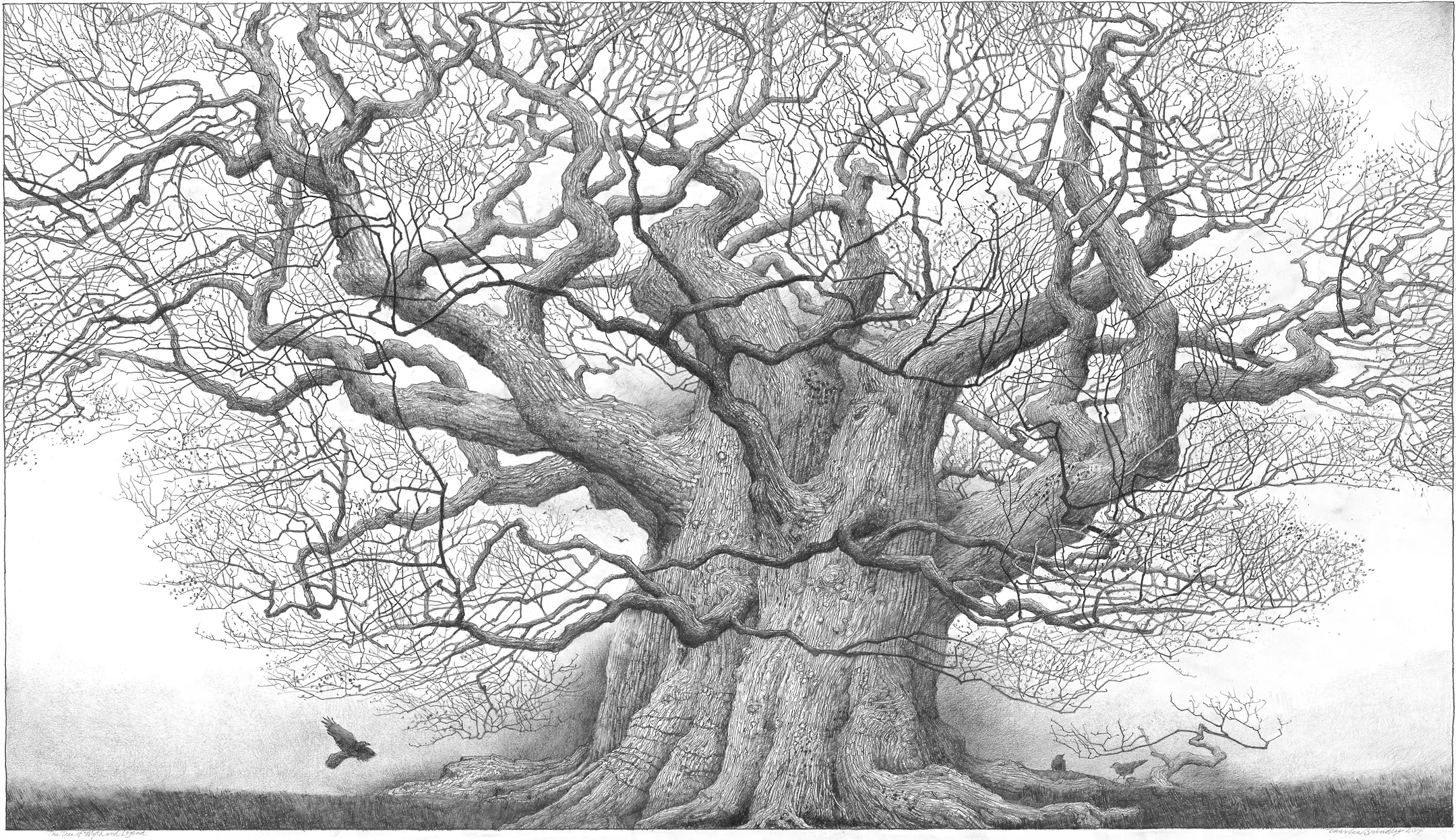 The Tree of Myth and Legend, 2014-15, graphite on paper, 21x37 inches, collection of Michelle Haynes, Gallatin, TN
