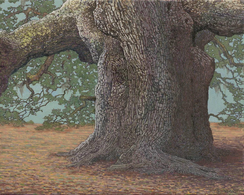 Trunk Section of The Angel Oak, 2011, oil on linen, 16x20 inches, collection of Carroll Miller, Nashville, TN