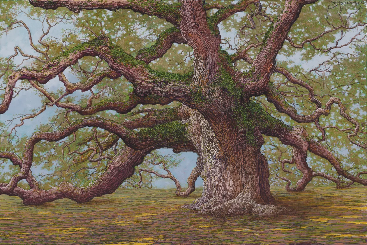 The Angel Oak, 2012, oil on canvas, 24x36 inches, collection of Gayley and Bob Patterson, Santa Rosa Beach, FL