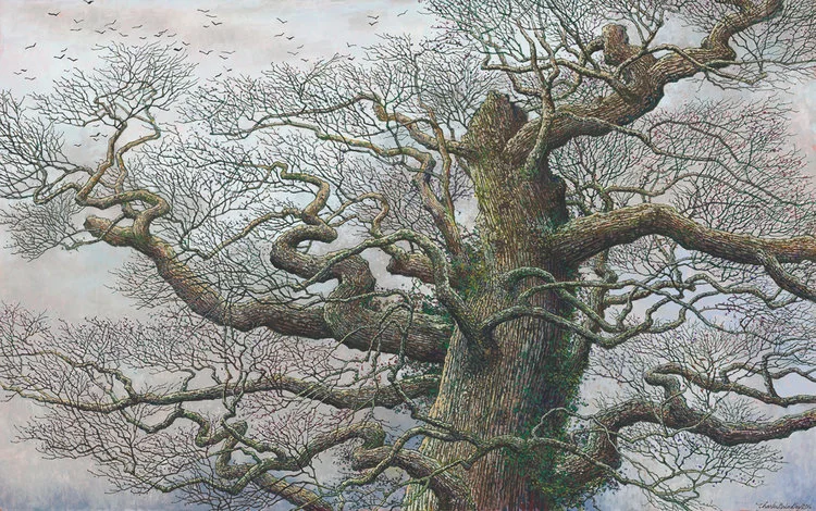 Top Section of Ancient Bur Oak in Open Field, 2016, oil on canvas, 30x48 inches, collection of Doris and Dan Hixon, Nashville, TN.