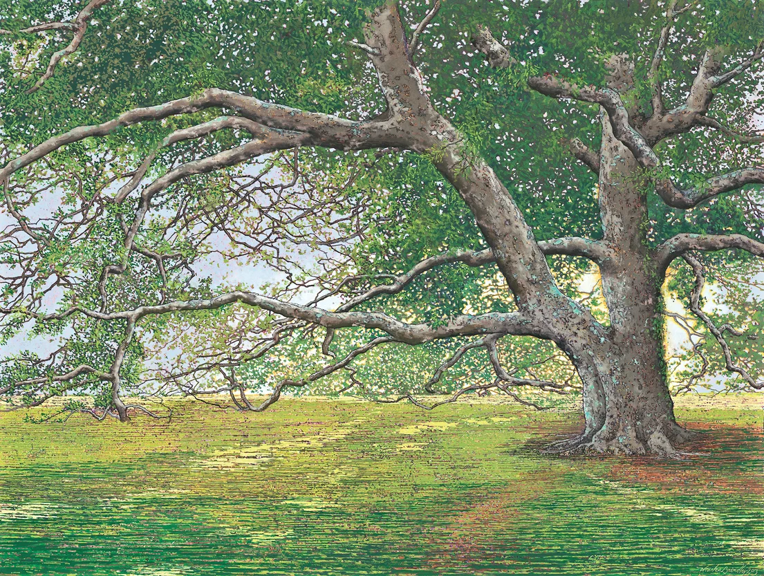 Old Water Oak in Open Field, 2014, oil on canvas, 30x40 inches, collection of Dorothy Earthman, Nashville, TN