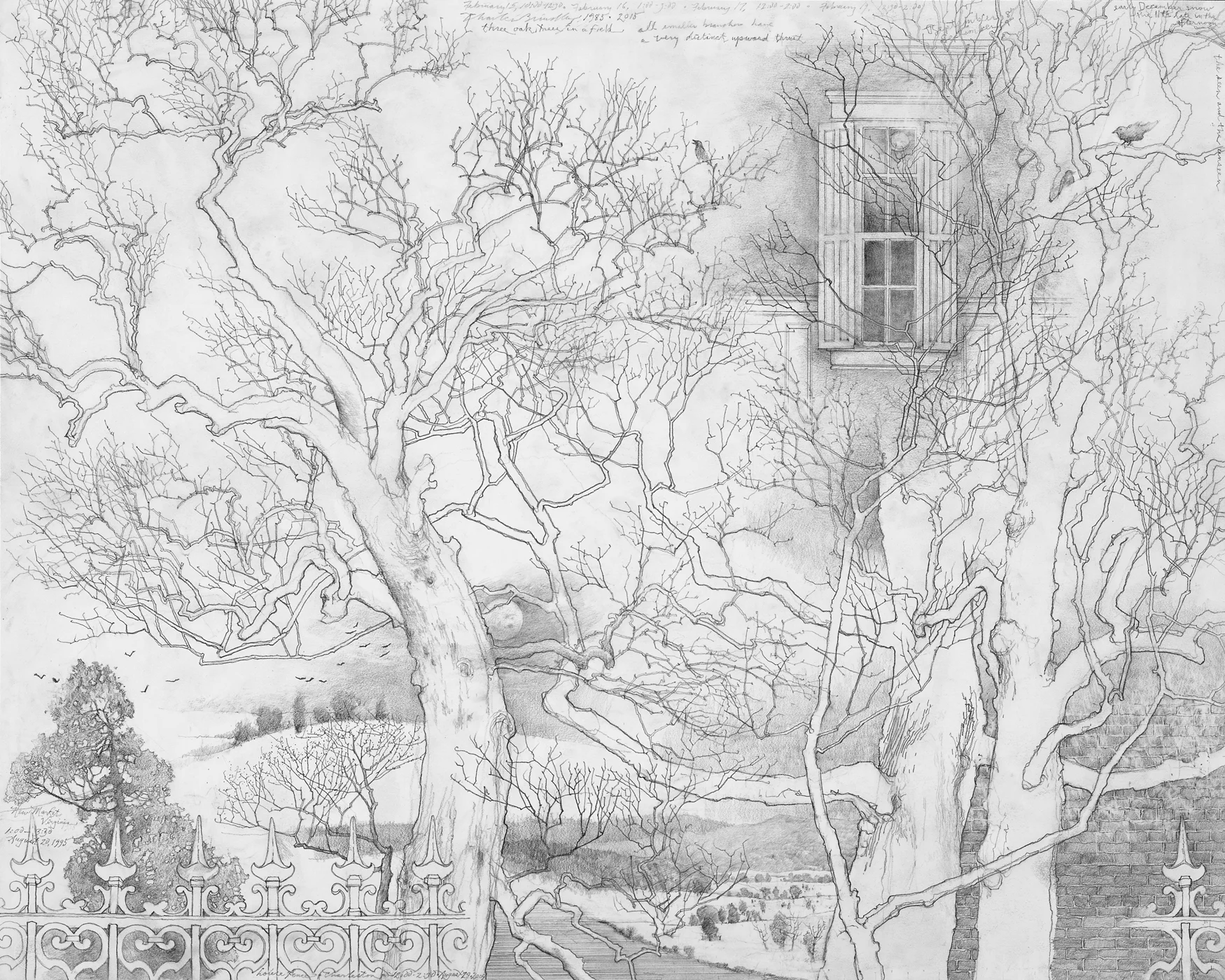 Fragments of the Seen and of the Unseen, 1985-2015, graphite on paper, 23x29 inches. Inventory of the artist, nicely matted and framed, (framed size approx. 36x42), $3,500.