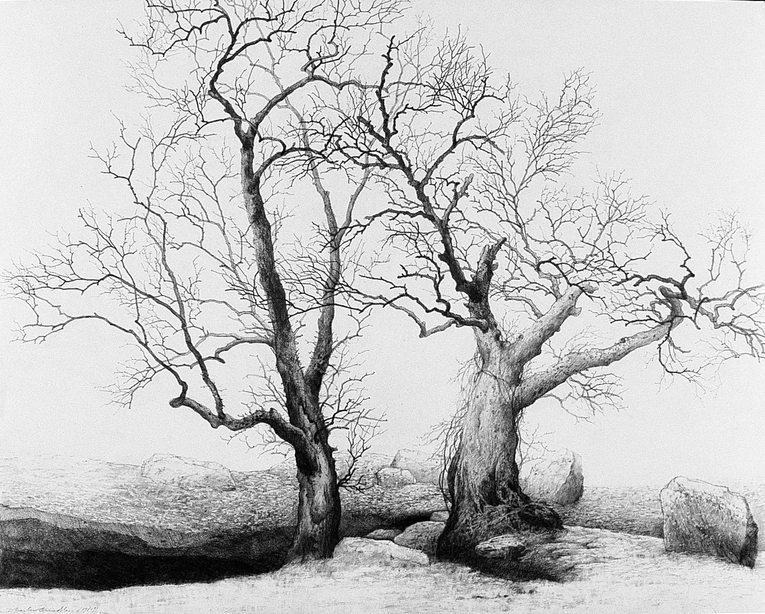 Landscape at Devil Rock, 1991, graphite on paper, 23x29 inches, collection of Yeiser Art Center, Paducah, KY